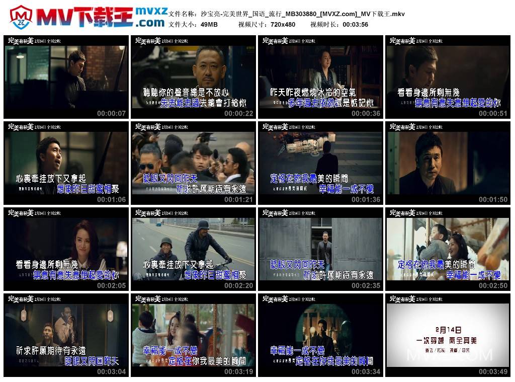 沙宝亮-完美世界_国语_流行_MB303880